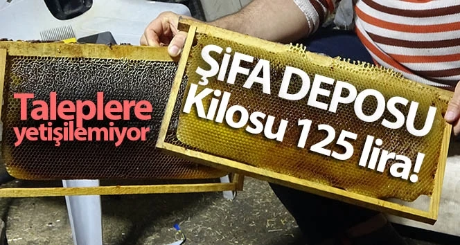Şifa deposu püren balının kilosu 125 lira! Taleplere yetişilemiyor