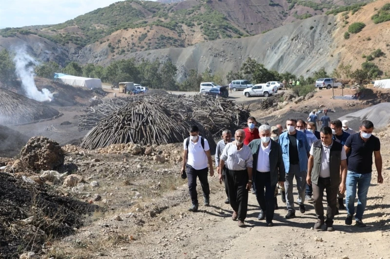 Meşe odununun mangal kömürüne