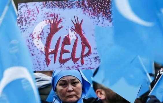Türk Dünyası Sivil Toplum Platformundan Kınama Mesajı