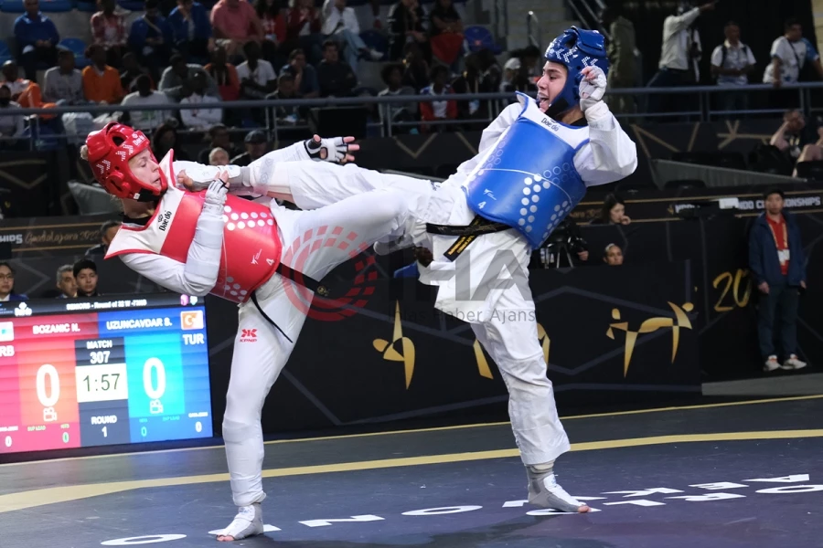 Dünya Taekwondo Şampiyonası
