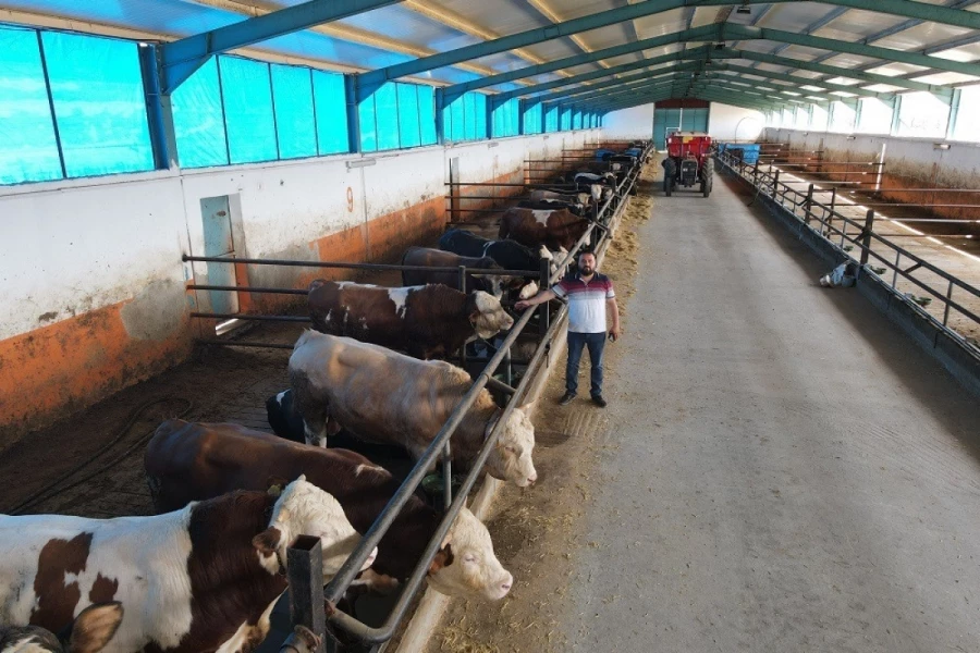 TKDK verdi, kendi besi çiftliğini kurdu