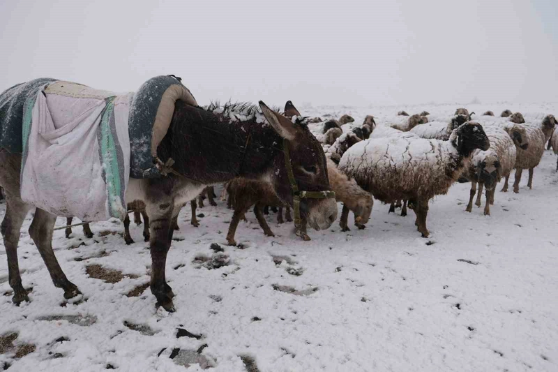 Göçerler kara yaylada yakalandı
