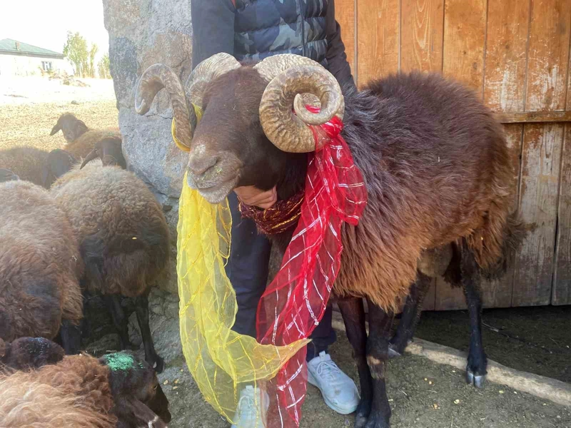 Yüzyıllık 