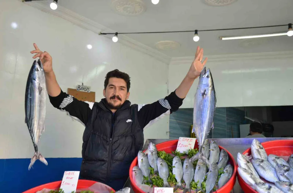 Mevsiminin en lezzetli balıkları hamsi ve sardalya