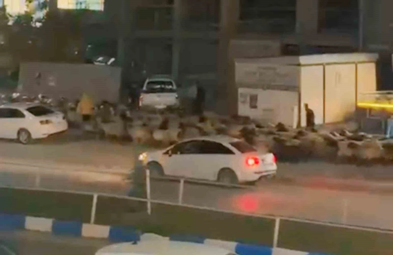 İşlek caddede koyun sürüsünün geçişi ilginç görüntüler oluşturdu