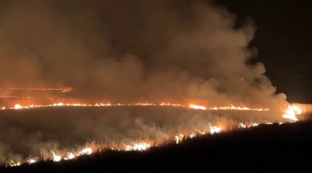 Yüksekova’da kuş cenneti Nehil Sazlığı’ndaki yangın yerleşim yerlerini tehdit ediyor