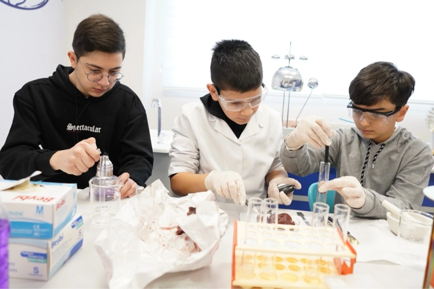 BİLSEM Öğrenci Tanılama Süreci Başlıyor