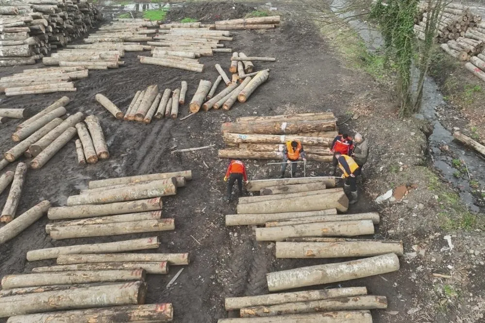 Düzce’de orman ürünü ihracatı geçen yılı geçti