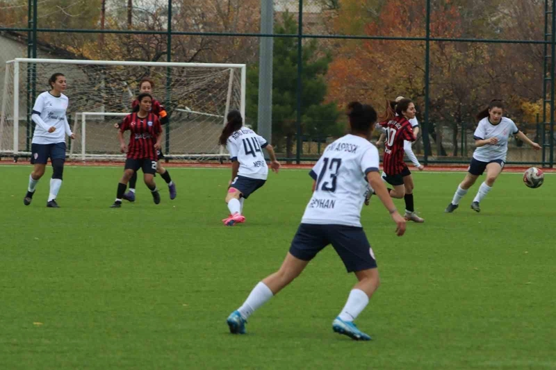 Erzincan Gençler Gücü, Ağrı