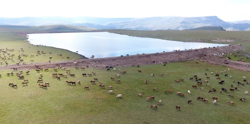 Erzurum Gölet Yapımında Türkiye