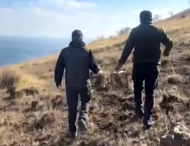 Rehabilite Edilen Keklikler Doğaya Kavuştu