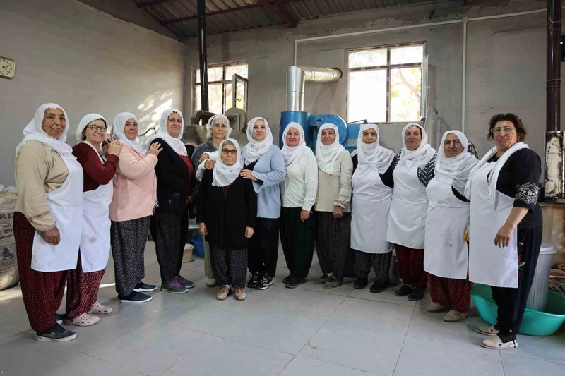 Ağınlı Kadınların Leblebi Başarısı: Günlük 700 Kilo Üretimle Türkiye