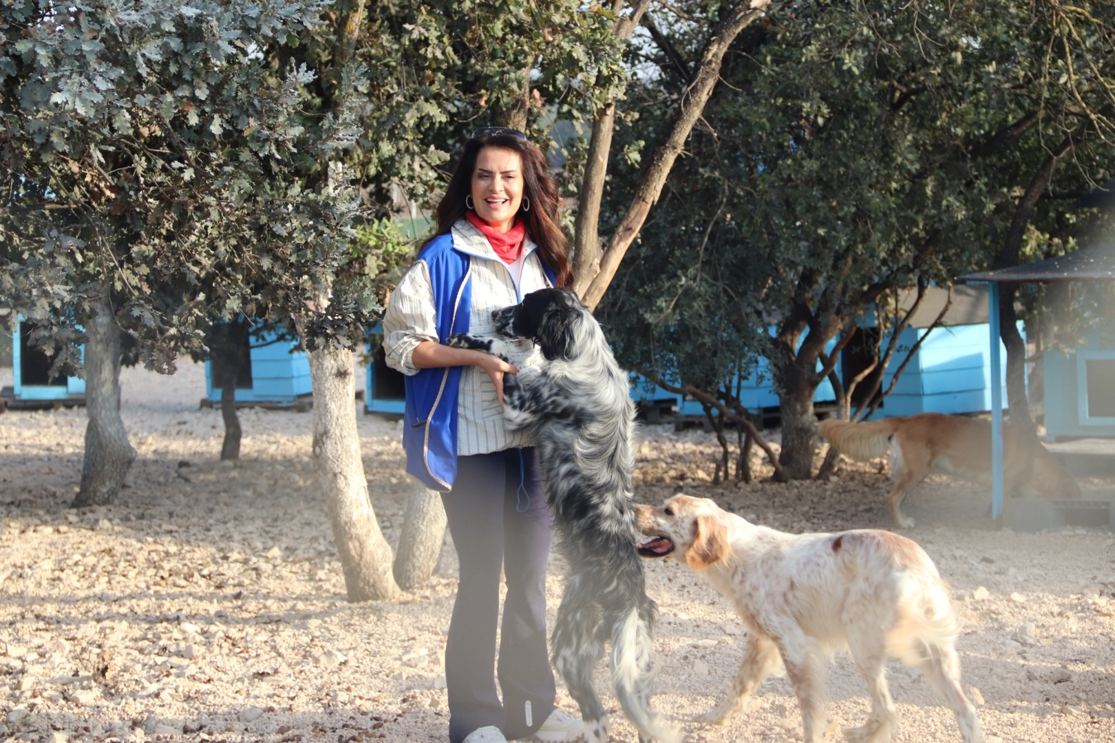 YASAV Minik Dostlara Umut Oldu