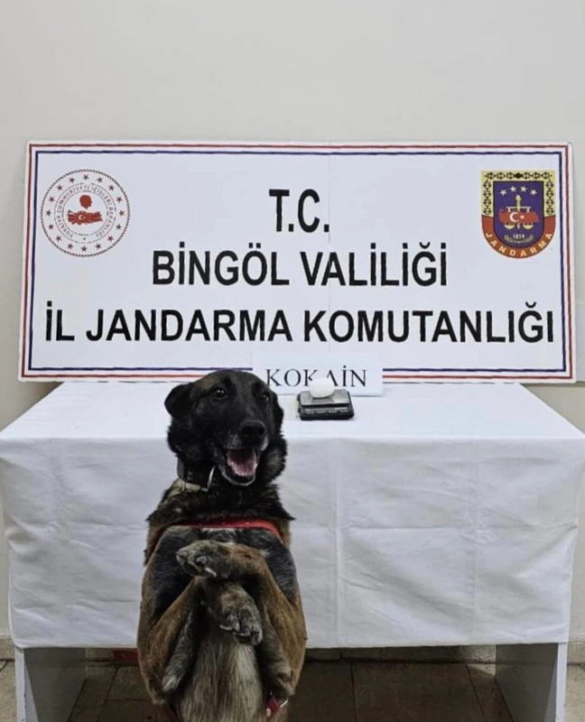 Bingöl