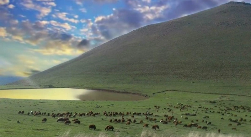 Köy Muhtarı M.D. Hakkında Mera Kira Soruşturması Başlatıldı