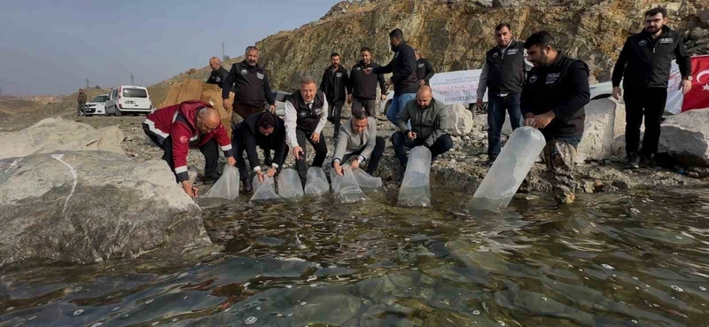 Karakaya Baraj Gölü