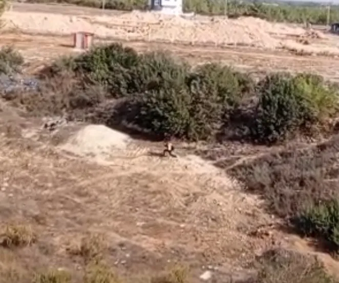 Adana’da nefes kesen kovalamaca: Firari hükümlü boş arazide yakalandı