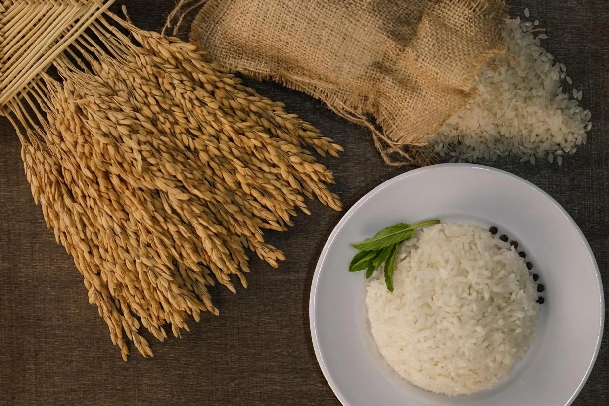 İpsala Pirinci AB tesciliyle Trakya