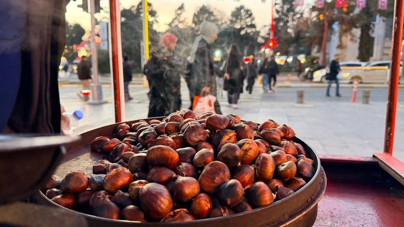 Kışın Şifa Kaynağı Kestane Erzincan