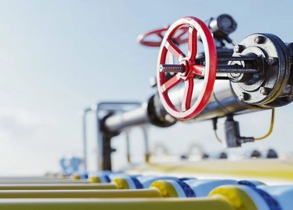 PALEN, kış ortasında dondurdu