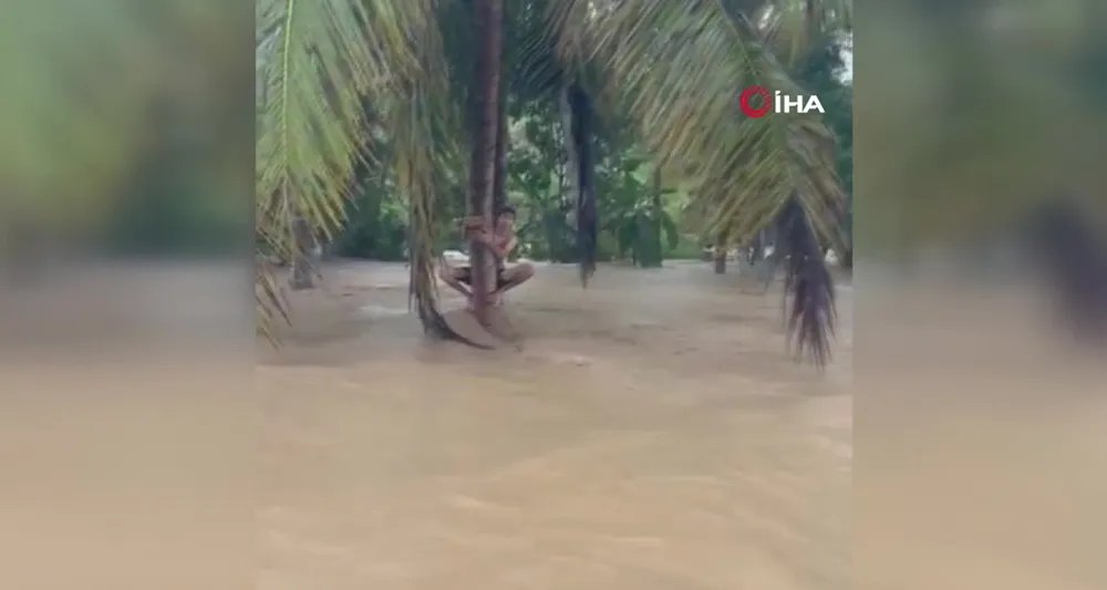 Endonezya’daki sel felaketinde afetzedeler ağaçlara tutunarak kurtarılmayı bekledi