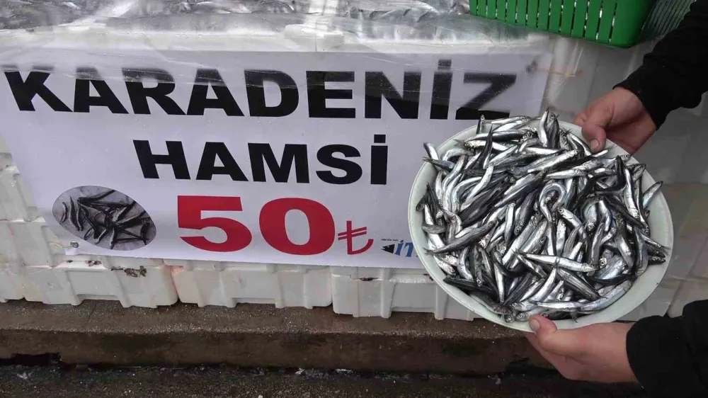 Denize kıyısı olmayan şehirde hamsinin kilosu 50 TL’ye düştü, vatandaş poşet poşet aldı