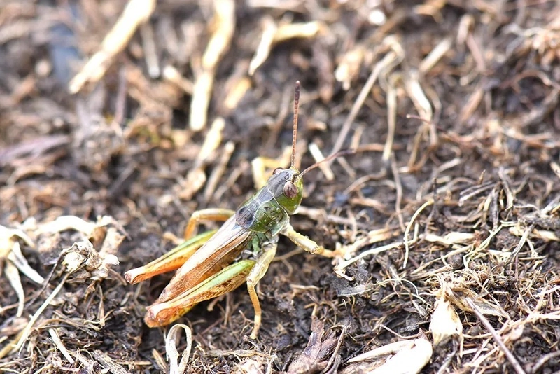 Bilim İnsanları Karadeniz
