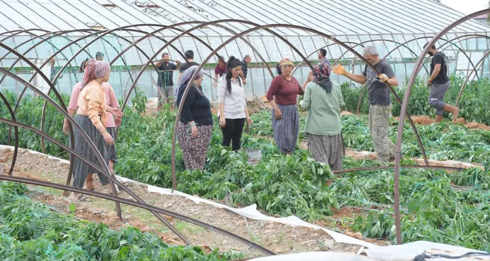 Mersin’de fırtına ve hortum seralara zarar verdi