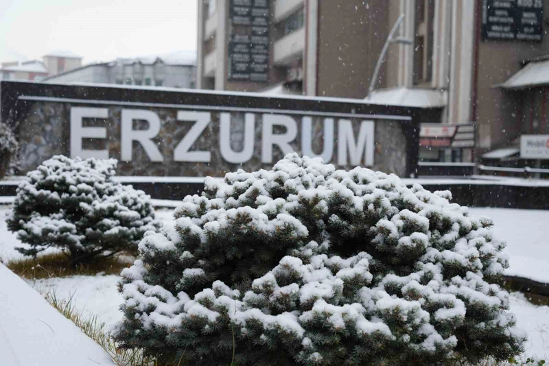 Erzurum