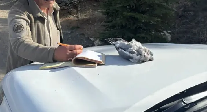 Burdur’da kaçak avcılar ekiplere yakalandı