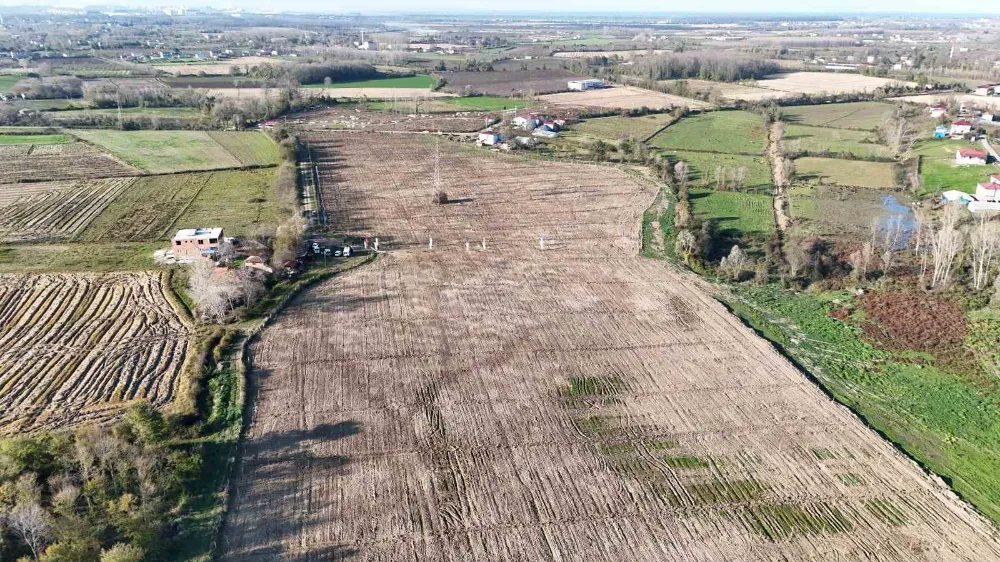 Karadeniz’in en büyük incir projesi: 50 milyon TL gelir kız çocuklarına verilecek